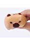 Squishy Brown Capybara Cube - 3