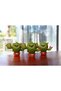 Cactus înfloritor Eugy. Puzzle 3D. - 8