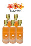 5 قطع عطر كوكو إريك 200 مل