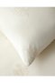 Flora Embrace Cotton Sheet Double Duvet Cover Set 200X220 cm Cream - 4