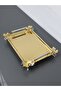 Figured, Metal-Handled, Stainless Steel Rectangular Tray Luxury Presentation Tray Light Gold-Silver - 7