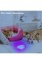 Blacklight Uv Flashlight, 395nm 21 LED Portable Ultraviolet Light for Urine Detection, Hand - 3