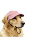 Dog baseball cap sun protection plant pattern XL ear holes. - 3
