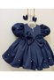 Girl's Fluffy Tulle Pearl Evening Dress Giant Bow Birthday Dress (with Buckle Gift) - 2
