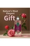 Double Rose Water 350 ml Set + 5 Compressed Face Towels as a Gift, H-Pro Hygiene - 4