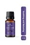 Lavender Essential Oil 10 ml – Natural Essential Oil |   Aromatherapy, Diffuser, Incense Burner