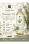 Rosemary Oil 118 ml |   100% Pure Natural Rosemary Oil for Hair and Scalp Care, Daily Care Oil - 2
