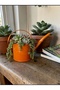 Vintage Metal Watering Can, Wrought Iron Watering Pot, Decorative Plant Flower Watering Can, Watering Pot Orange 1 Lt - 3