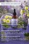 Cold Pressed Evening Primrose Oil 100% Natural Sensitive and Dry Skin Care Oil Evening Primrose Oil 50 ml - 3