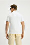 Slim Fit Slim Fit Lycra Polo Neck T-Shirt - 5