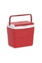 Picnic Icebox - 6