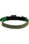 Cat Collar Disco, Green XSmall - 2