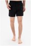 U.S. Polo Assn Standard Fit Black Swim Shorts - 2