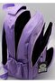 Luxury Satin Water-Resistant Fabric Unisex Large Size Middle School High School School Backpack and Travel Bag / 2300 - 6