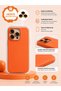 iPhone 11 Pro Max (6.5 Inch) Compatible Velvet Interior Stain-Resistant Premium Launch Case with Special Box