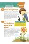 Plants - What Makes Bamboos Grow So Fast ? - 2