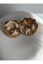 Gold Color Sea Shell Earrings (3.5 cm) - 3