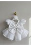 Girl's White Princess Glitter Dress – with Hair Clip