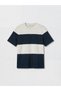 Lcw Vision Petrol Crew Neck Color Blocked Pique Men's T-Shirt - 3