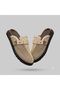 (Bianca) Mesh Closed Toe Casual Women's Slippers Beige - 2