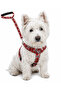 Adjustable Scarf, Chest Harness and Travel Strap Set of 3 - 4