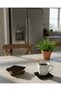 Set of 20 Wooden Square Coasters - Decorative Coffee Presentation (10X10 cm)
