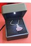 Illuminated Boxed Swan Steel Necklace