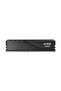 ذاكرة وصول عشوائي XPG سعة 8 جيجابايت DDR5 بتردد 5600 ميجاهرتز CL46 طراز AX5U5600C468G-SLABBK
