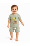 Baby T-Shirt Shorts Set Khaki Boys