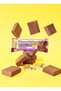 Natural Protein Bar Brownie Flavor Gluten Free, High Fiber & No Sugar Added 12x60g - 2