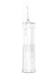 Electric Water-Reservoir-Equipped Water Flosser [Type C] [White] - 2