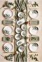 Solis 14 Piece 6 Person Ceramic Breakfast Set, Breakfast Set