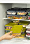 Alfa 4-Piece Bpa-Free Deep Freezer and Refrigerator Storage Container Set Transparent Food Organizer - 5