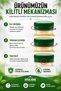 Set of 20 Transparent Turtle Bottles with Green Lids Pet Beverage Bottle Children's Nutrition Water Bottle 250 ml - 2