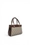 Y.Green - Brown Monogram Women's Handbag Sp1293 - 4