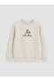 Lcw Kids Gray Crew Neck Printed 2-Piece Boys' Thick Sweatshirt - 2