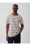V-EVERYDAY SOFT CREW - مخطط - 5