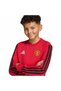 Children's Sweatshirt "Manchester United Kids Crew Sweat" Kg6341 - 5