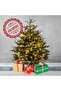 Fresh Premium Christmas Tree with Box Decoration 230cm - 2
