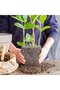 A 4 stainless steel plant root protectors, 35 x 35 cm, solid baskets, for fruit trees and plants, sturdy and durable, protects roots, solid mesh... - 2
