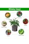 A 4 stainless steel plant root protectors, 35 x 35 cm, solid baskets, for fruit trees and plants, sturdy and durable, protects roots, solid mesh... - 6