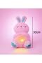 Breathing Light-Up Musical Plush Rabbit 30 cm Sleeping Companion and Lullaby Singing Toy - 3