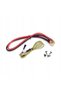 CONVERTOR POLISH IPS 1300/2600 12V - 4