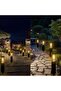 4-Piece Outdoor Solar Garden Lights with Warm White Light, Waterproof, Automatic, Rechargeable for Paths, Lawns, Patios, etc. - 4