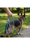 Ergonomic Mesh Type Wick Leash for Cat and Dog (10/12mm - 120cm) - 6