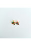 Motify 0.6 Steel Earring |   Steel Earrings - 2