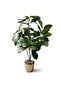 Artificial Plant in a Pot, 50cm High Interior Home Decor - 2