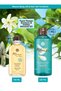 Shine-Enhancing Hair and Body Care Set - Restorative and Moisturizing Effect - 2