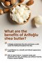 Shea Butter 150 ml - Heel Crack Care, Foot Care and Intensive Moisturizer (Shea Butter) - 2
