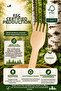 50-Piece Ecological Wooden Forks 16 cm Natural Birch Disposable Party Organization Forks - 7